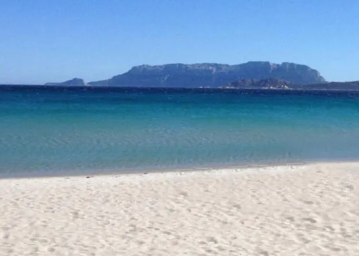 Vakantiehuis La Conchiglia *